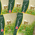 2012深むし新茶