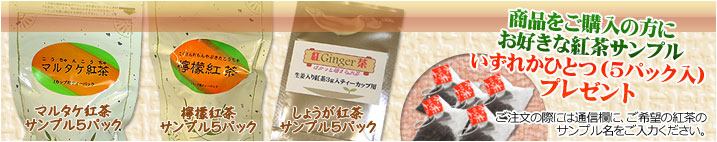ティーバック紅茶サンプルプレゼント