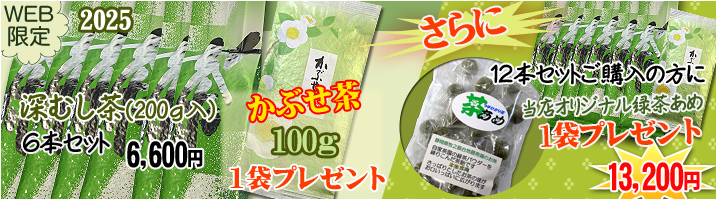 2025深むし茶+かぶせ茶100gプレゼント